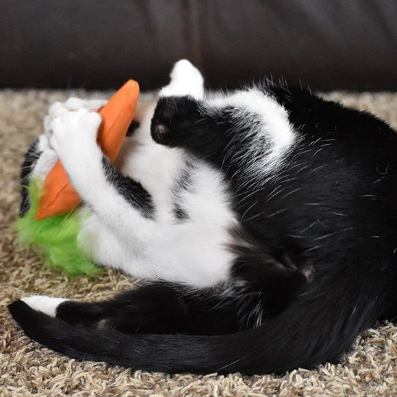 OurPets 100-Percent North American Catnip Filled Carrot Cat Toy 24 Karat - Picture 4 of 7